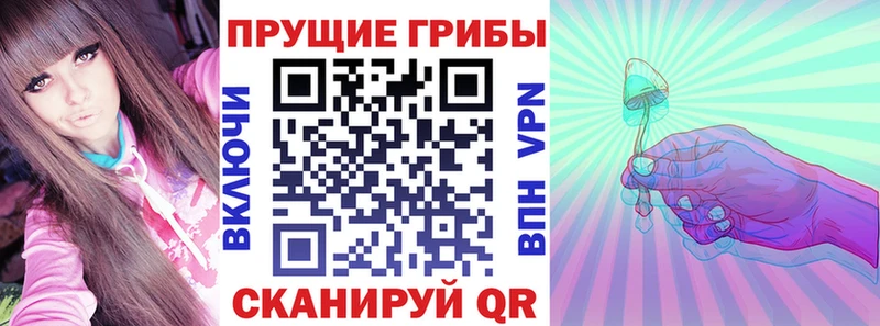 Псилоцибиновые грибы Psilocybine cubensis мега зеркало Углич