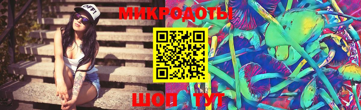 Псилоцибиновые грибы Psilocybine cubensis Углич